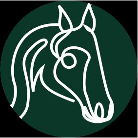 Espace Cabourg - Hippodrome de St Galmier
