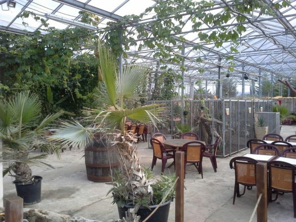 iguana house
