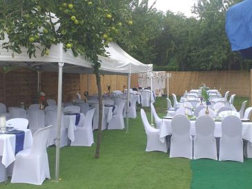 Salle champêtre - photo 4