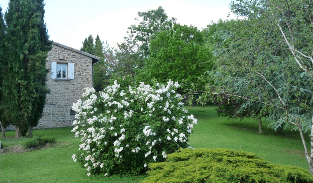 photo Domaine de la Griottiere