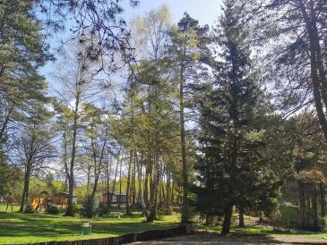 Salle des Sapins de Corrèze - photo 5