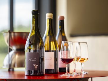 Salle de réception - photo 5