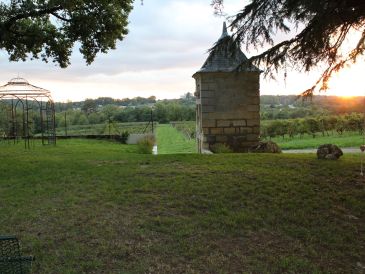 Domaine - photo 5