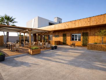 La Palmeraie - photo 4