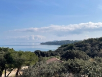 Grand Horizon