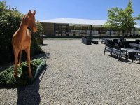 Le Haras D'Olgy